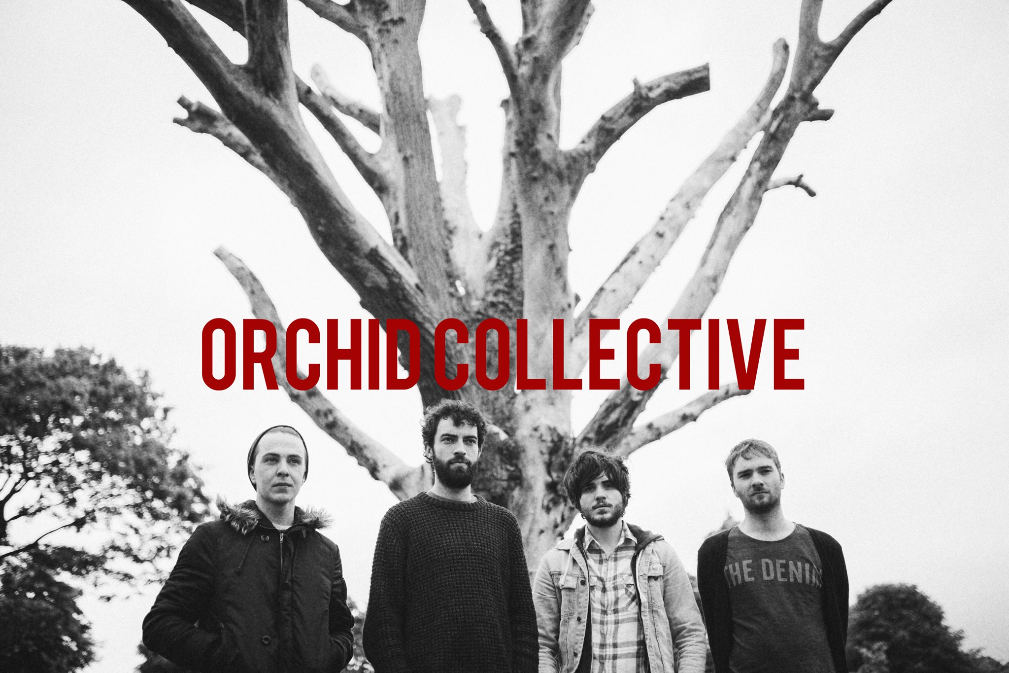 Orchid Collective