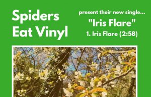 Spiders Eat Vinyl – Iris Flare Spiders Eat Vinyl - Iris Flare