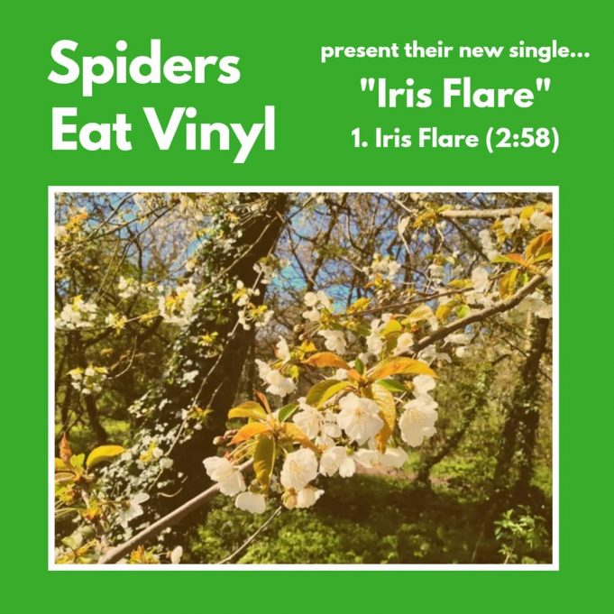 Spiders Eat Vinyl – Iris Flare Spiders Eat Vinyl - Iris Flare