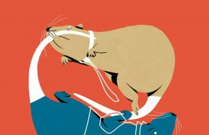 Sam Baird – Lines and Ripples Sam Baird