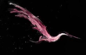 Neon Gru take flight to defy genre boundaries on ‘I Am A Bird’ Neon Gru I am a Bird