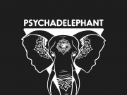 Psychadelephant’s eco-funk in ‘Have You Ever’ Psychadelephant