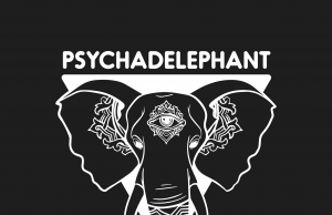 Psychadelephant’s eco-funk in ‘Have You Ever’ Psychadelephant