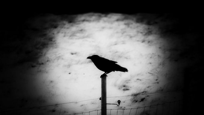 Porcelain reveal Part Two, the next chapter in their alternative blueprint Porcelain Part Two