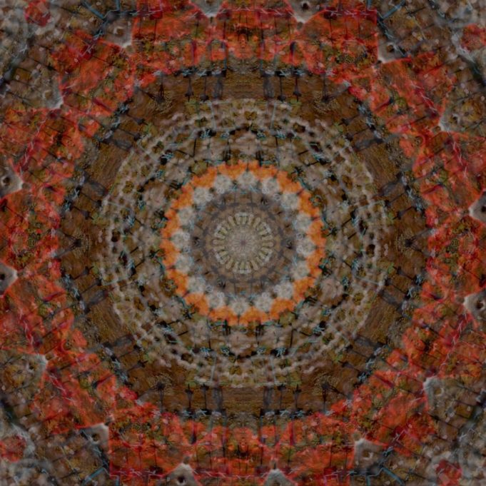 Caustic Waves Battles an ‘Invisible Enemy’ Caustic Waves Invisible Enemy