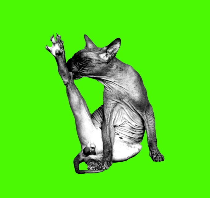 Temples of Youth Are Too ‘Keen to be Clean’ Temples of Youth 'Keen to be Clean'