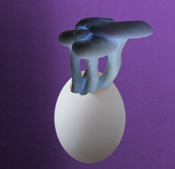 The Great Leslie Set their Sights on Stardom With New Singles The Great Leslie RCM Blog