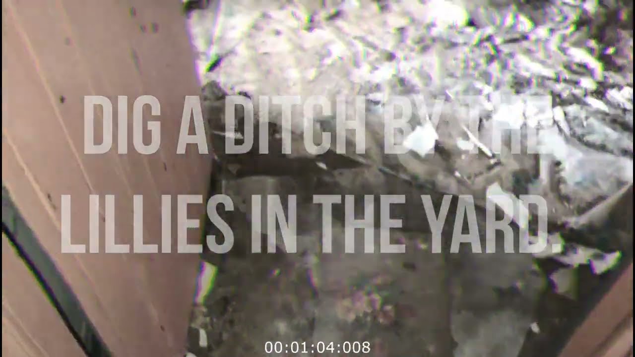 LOCKS Delight With The Dark Tinged Folk Of NOLA