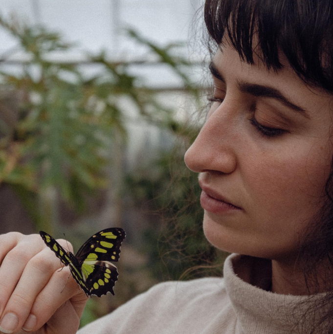 SHWA Reminisces About Young Love On Butterflies SHWA - Butterflies Right Chord Music Blog