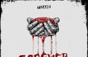 Tizane’s Powerful Vocals Shine On New Album ‘Forever Is Nothing’ Tizane Forever Is Nothing on Right Chord Music