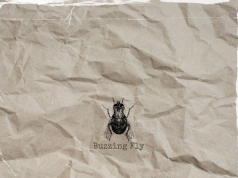 Digsby Get Inside Our Head With ‘Buzzing Fly’ Digsby Buzzing Fly on Right Chord Music