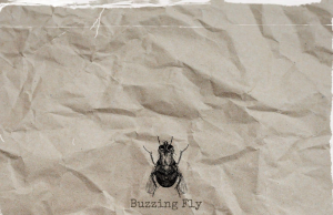 Digsby Get Inside Our Head With ‘Buzzing Fly’ Digsby Buzzing Fly on Right Chord Music