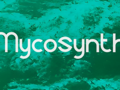 Mycosynth Releases The Pulsating EP ‘Diver’ Mycosynth Diver Ep review on Right Chord Music