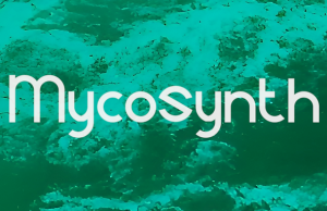 Mycosynth Releases The Pulsating EP ‘Diver’ Mycosynth Diver Ep review on Right Chord Music