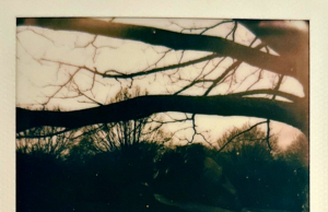 George Bone Remembers A ‘One/Two Summer Fling’ George Bone One/Two Summer Fling review on Right Chord Music Blog