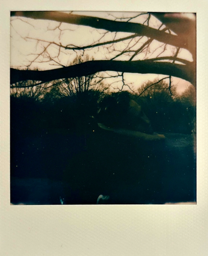 George Bone Remembers A ‘One/Two Summer Fling’ George Bone One/Two Summer Fling review on Right Chord Music Blog