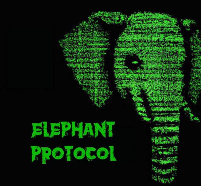 Elephant Protocol They Live on Right Chord Music